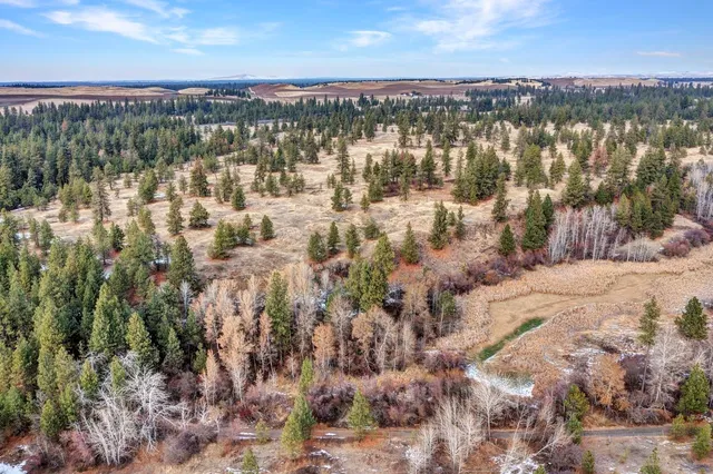 $300,000 | 0 South Phillips Road, Cheney, WA 99004