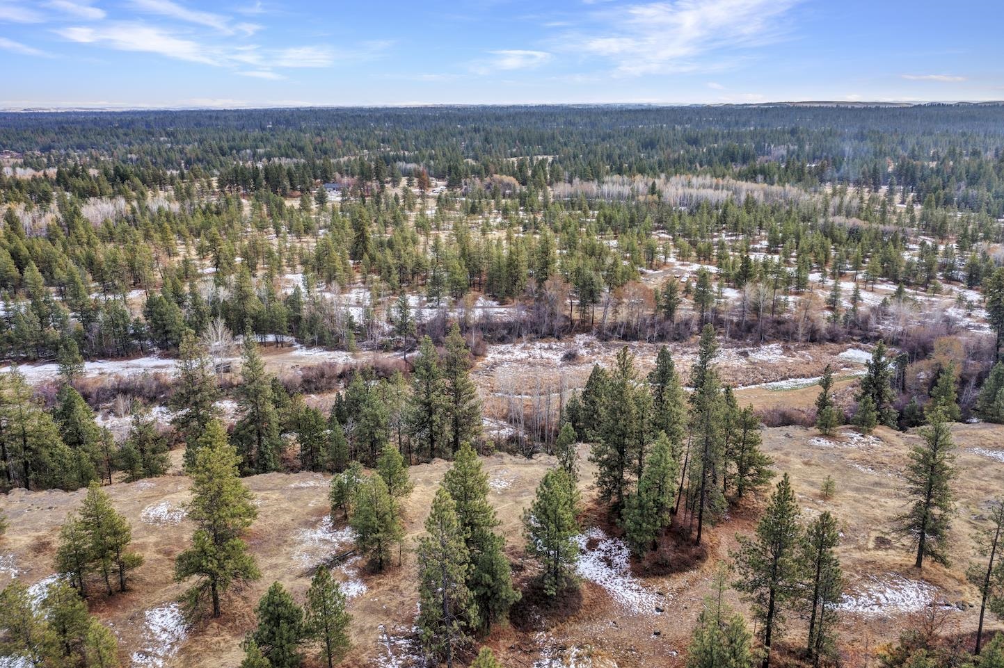 0 South Phillips Road Cheney, WA 99004 - Photo 8 of 11