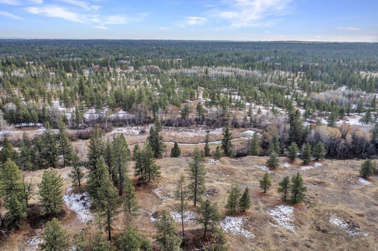 0 South Phillips Road Cheney, WA 99004 - Photo 9 of 11