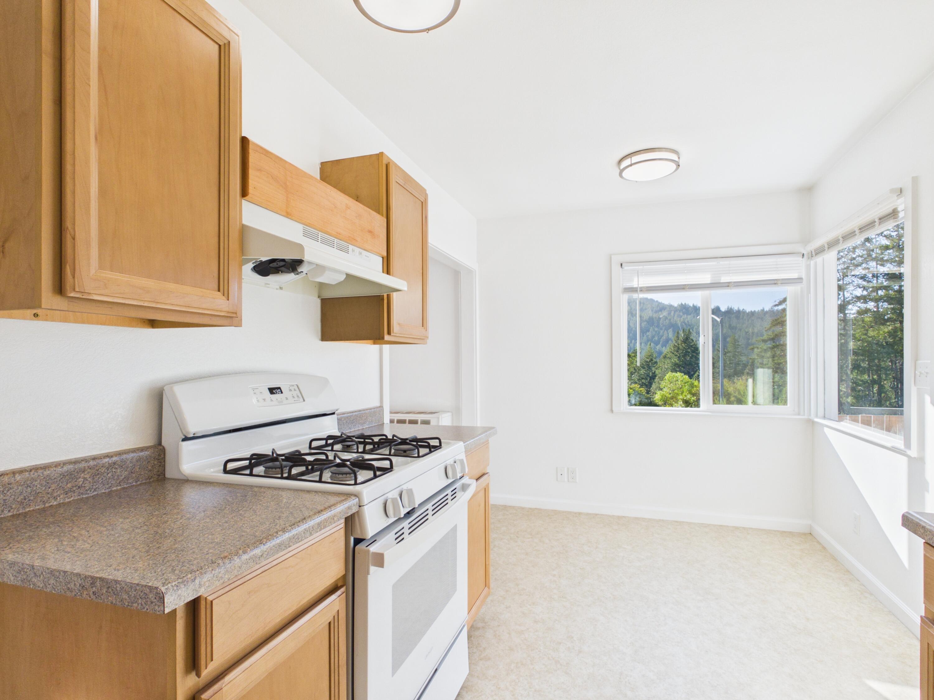 11 Madrone Road Weott, CA 95571 - Photo 21 of 40 Gallery Image 21