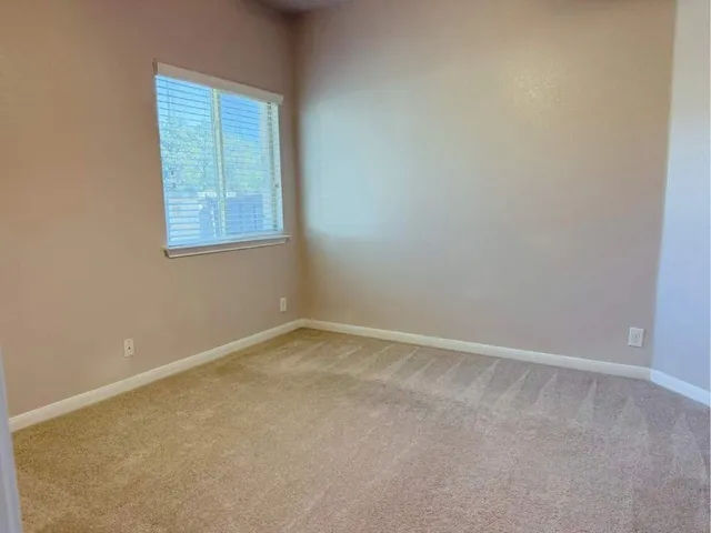 a huge green field with lots of trees