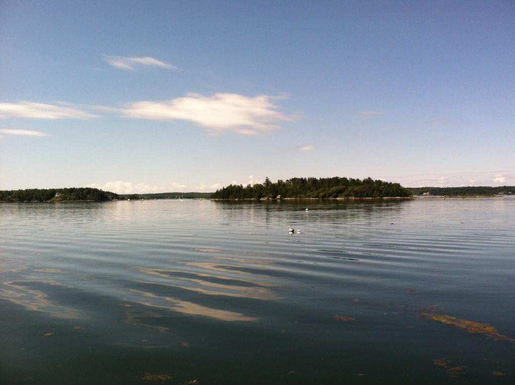 117 Camerons Point Road Southport, ME 04576 - Photo 4 of 20 Green Island, Boston and Spectacle...