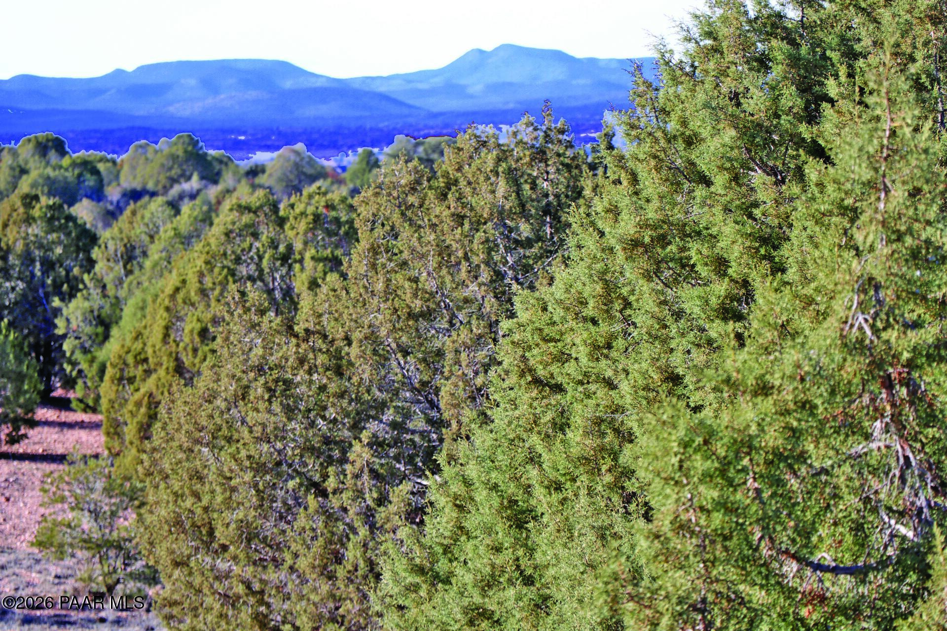 7051 Dillon Wash Road Prescott, AZ 86305 - Photo 19 of 43 Davis MtnView
