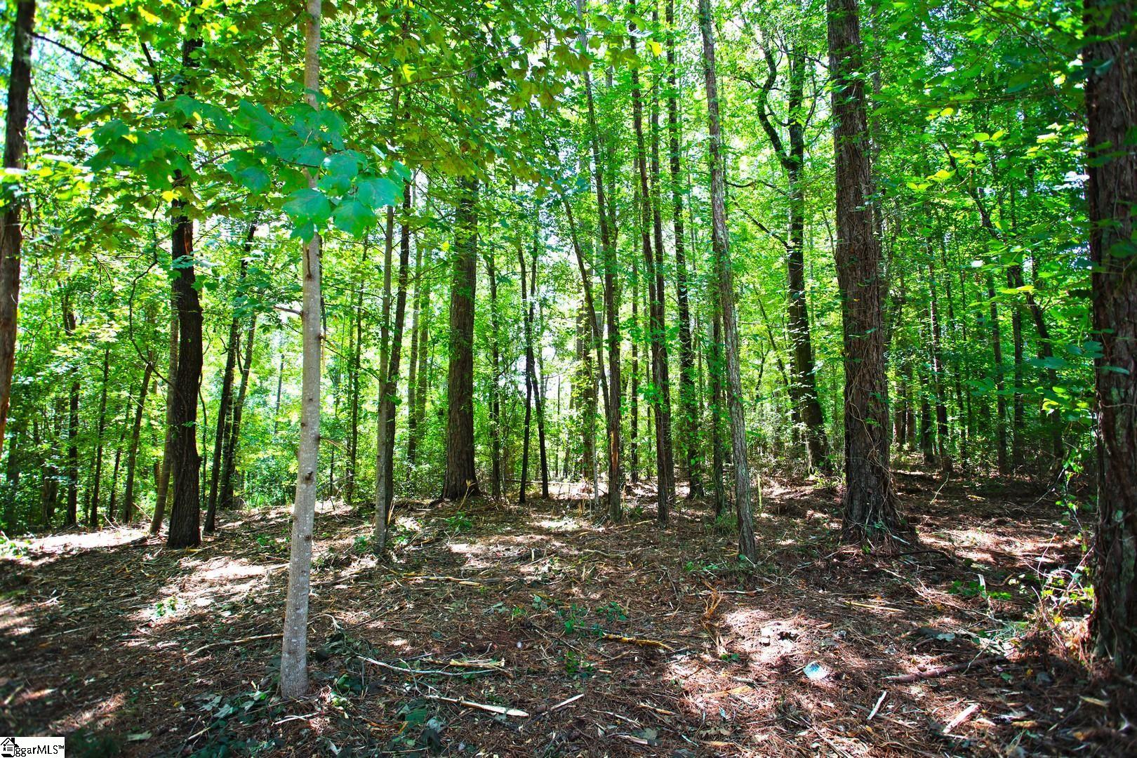 86 Peninsula Road West Union, SC 29696 - Photo 41 of 45 Gallery Image 41
