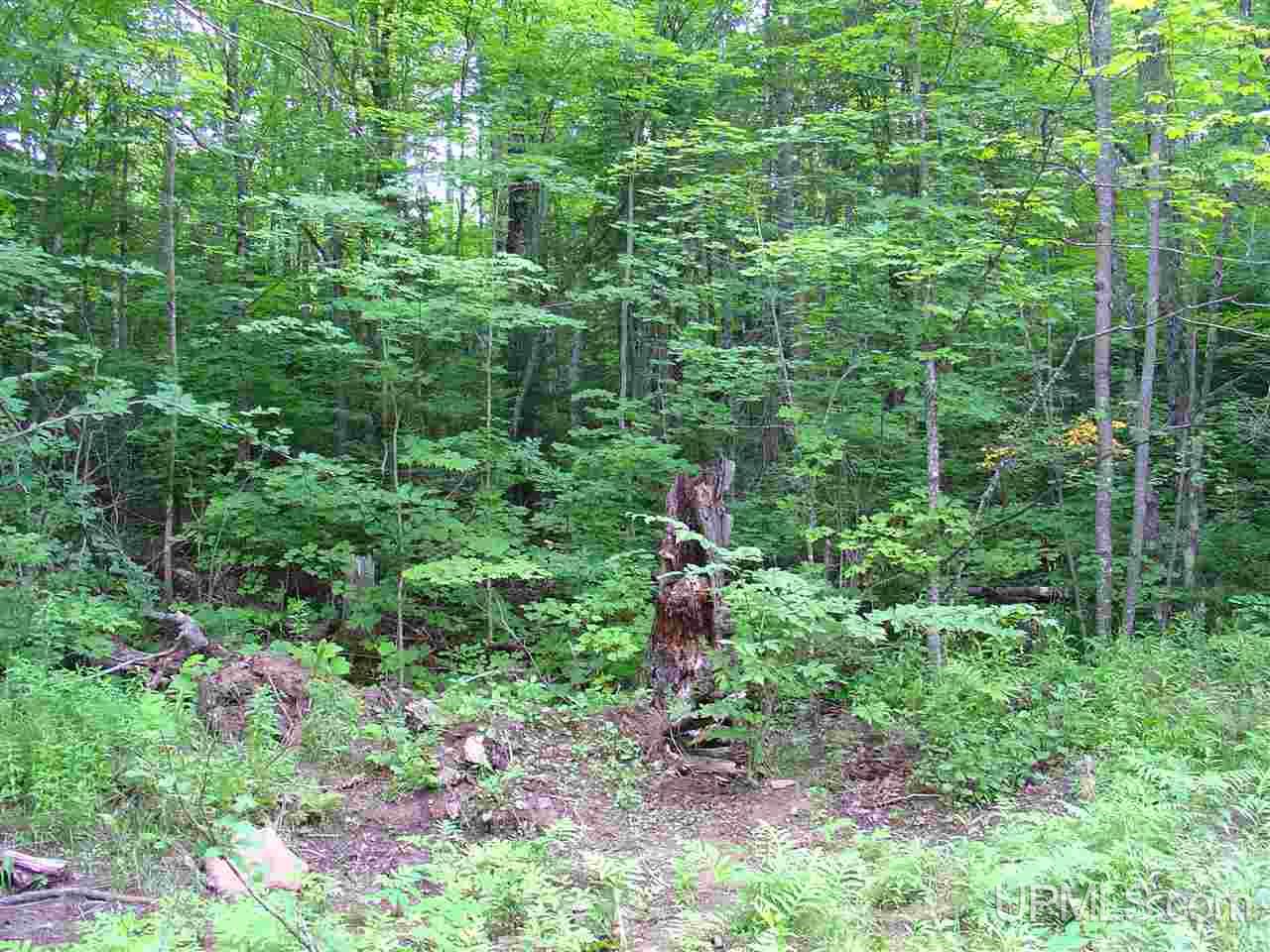 Off Ethelwood Grade Road Marenisco, MI 49947 - Photo 11 of 12
