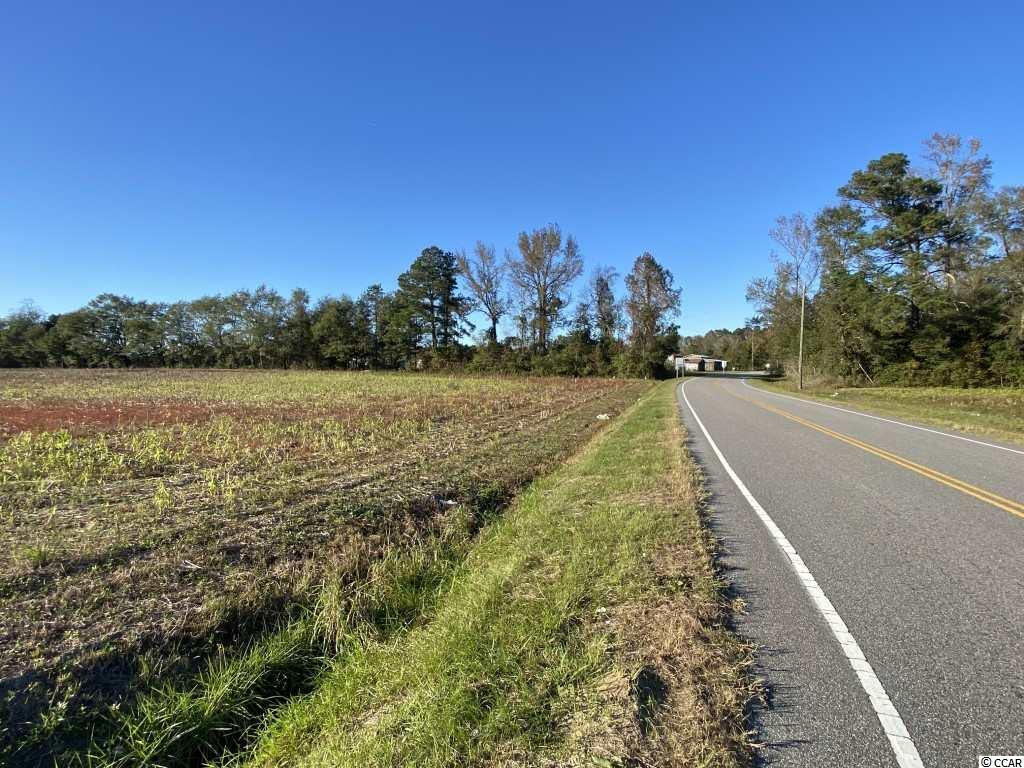 12.86-acres Cherry Hill Road Loris, SC 29569 - Photo 3 of 6 Gallery Image 3