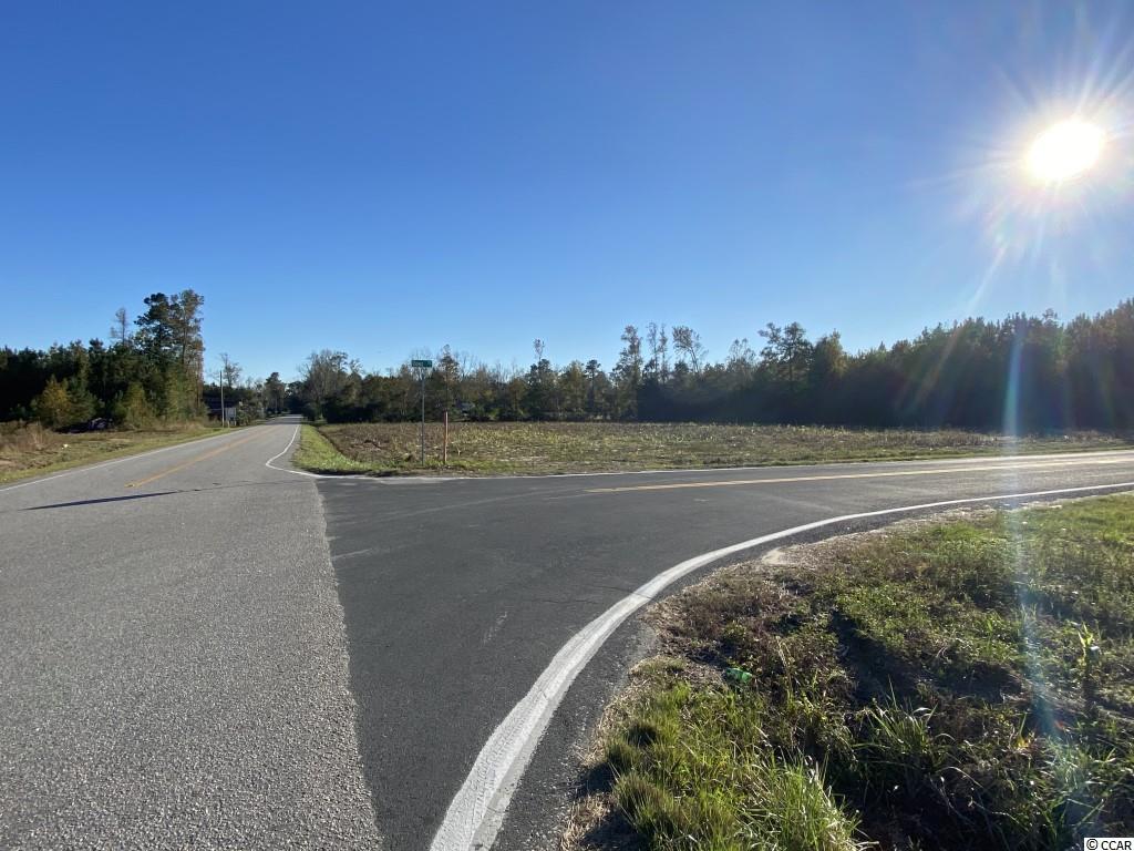 12.86-acres Cherry Hill Road Loris, SC 29569 - Photo 4 of 6 Gallery Image 4