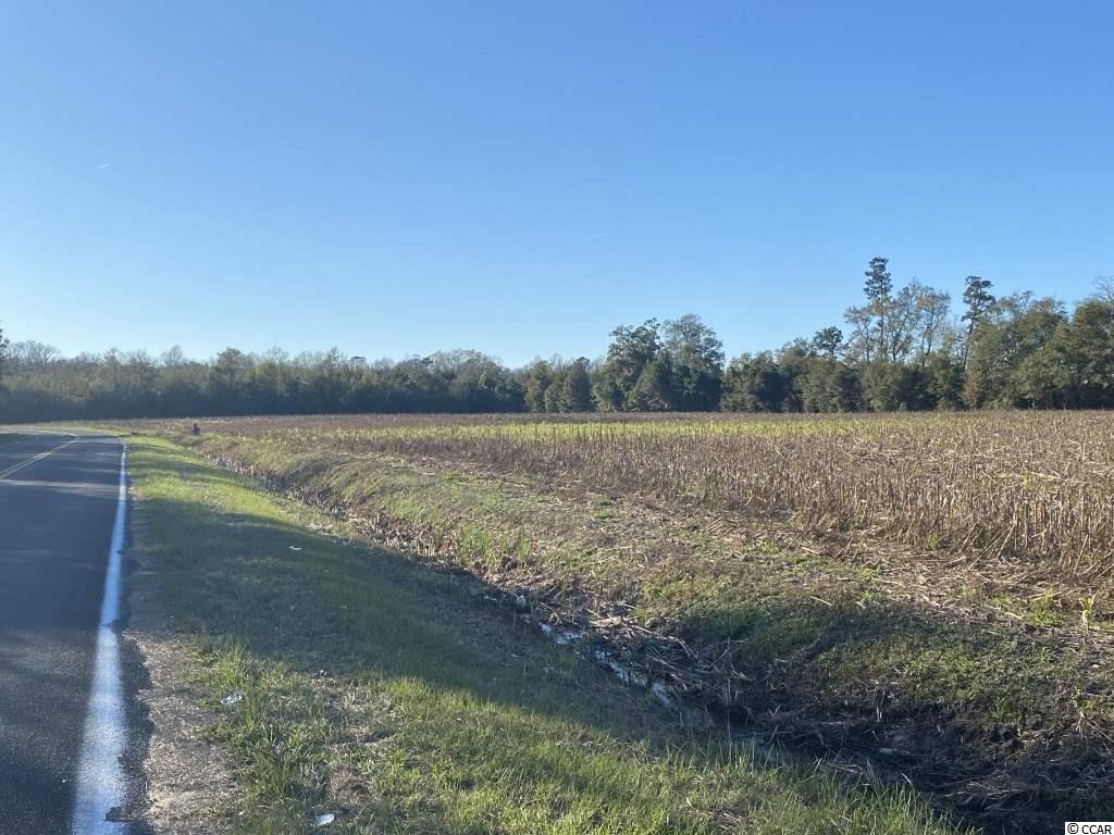 12.86-acres Cherry Hill Road Loris, SC 29569 - Photo 5 of 6 Gallery Image 5