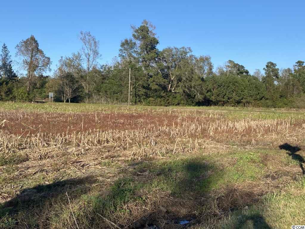 12.86-acres Cherry Hill Road Loris, SC 29569 - Photo 6 of 6 Gallery Image 6