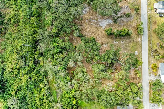 a view of a garden with a tree
