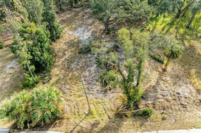 a view of a yard with a tree