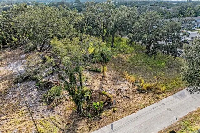 a view of a garden with plants