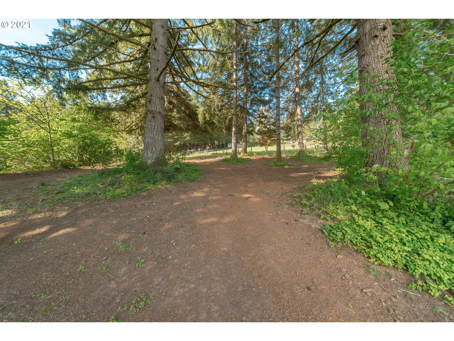 115 South Silver Lake Road Castle Rock, WA 98611 - Photo 15 of 30 Gallery Image 15