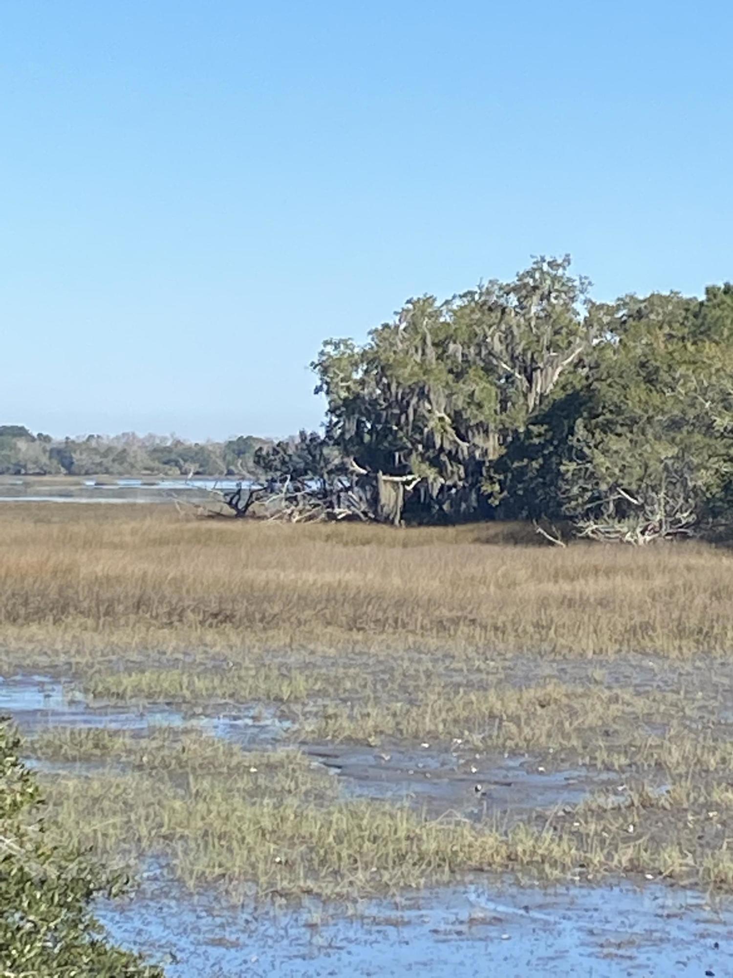 21 Josie Ridge Road Wadmalaw Island, SC 29487 - Photo 21 of 28 IMG_9784