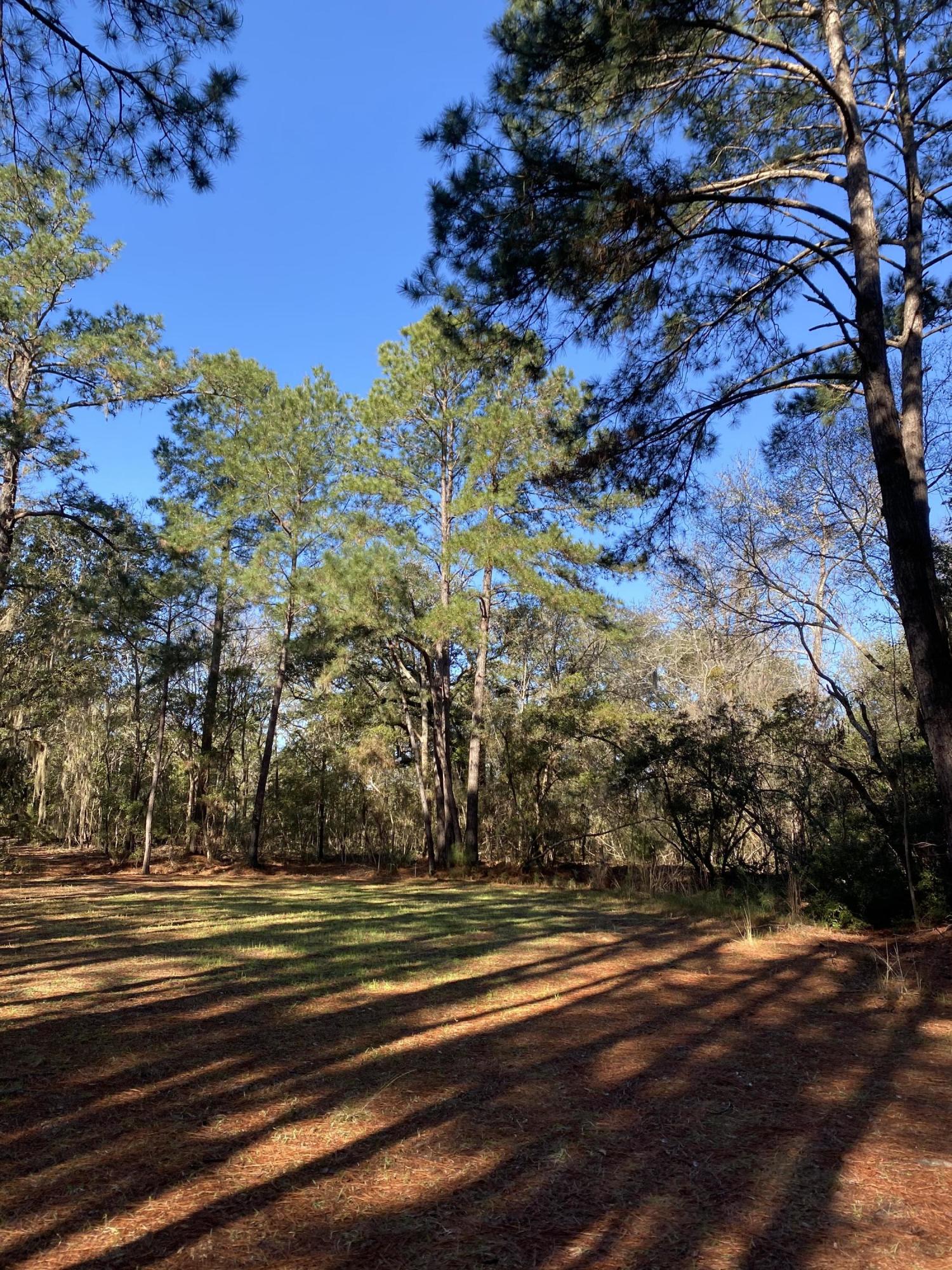 21 Josie Ridge Road Wadmalaw Island, SC 29487 - Photo 23 of 28 IMG_9789