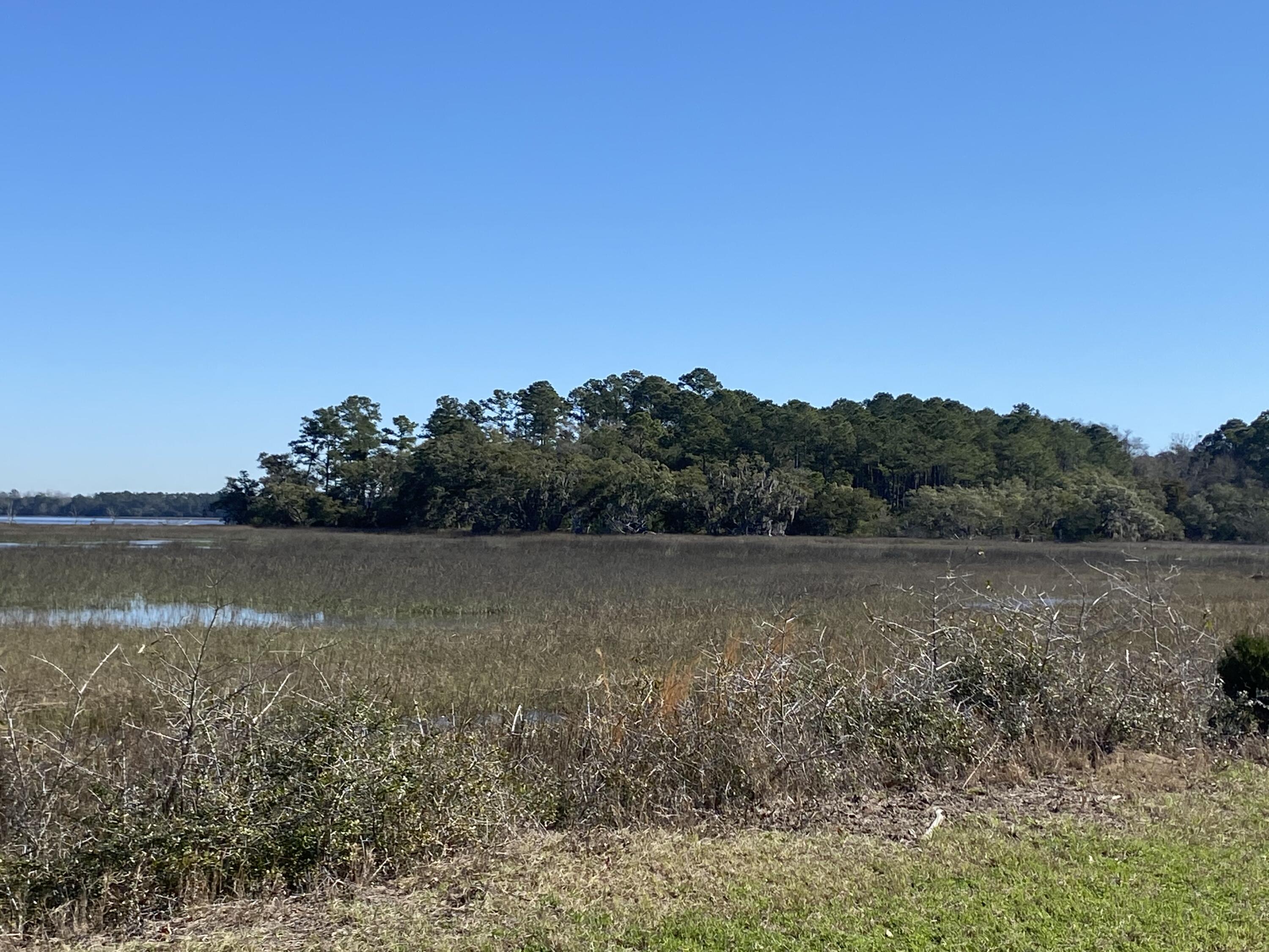 21 Josie Ridge Road Wadmalaw Island, SC 29487 - Photo 24 of 28 IMG_9796
