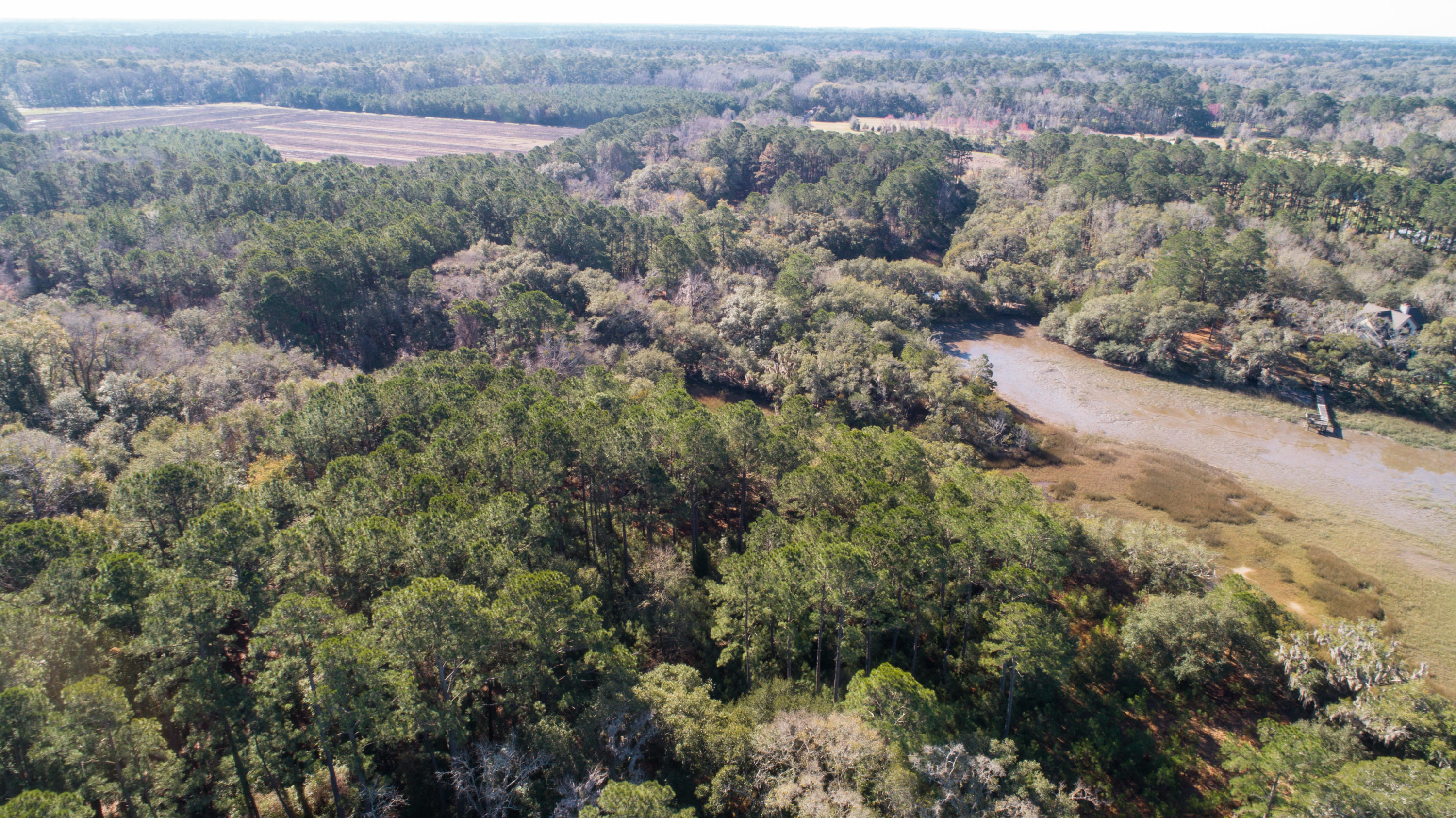 21 Josie Ridge Road Wadmalaw Island, SC 29487 - Photo 4 of 28 DJI_0004