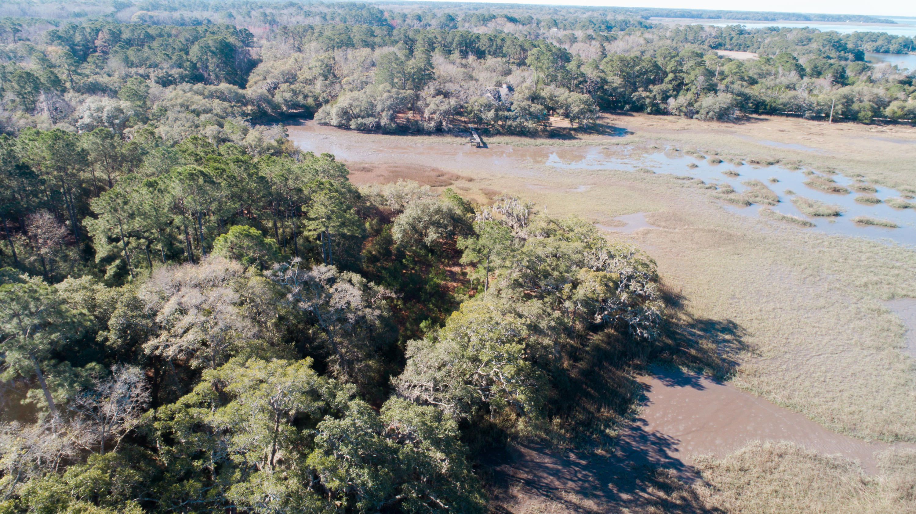 21 Josie Ridge Road Wadmalaw Island, SC 29487 - Photo 6 of 28 DJI_0003