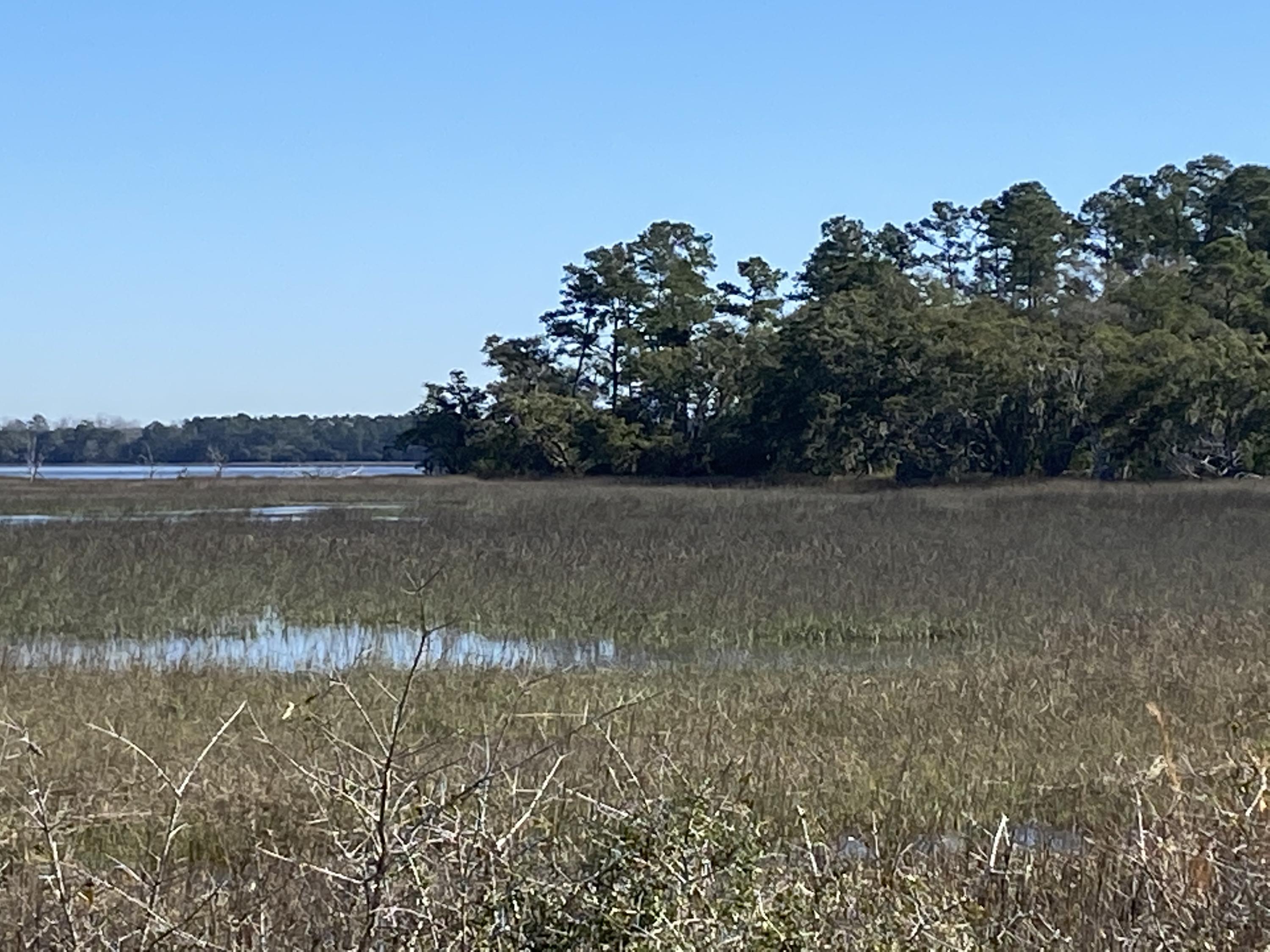21 Josie Ridge Road Wadmalaw Island, SC 29487 - Photo 8 of 28 IMG_9798