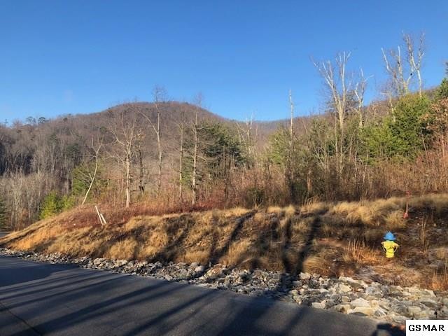 116 Summit Trails Drive Sevierville, TN 37862 - Photo 9 of 13
