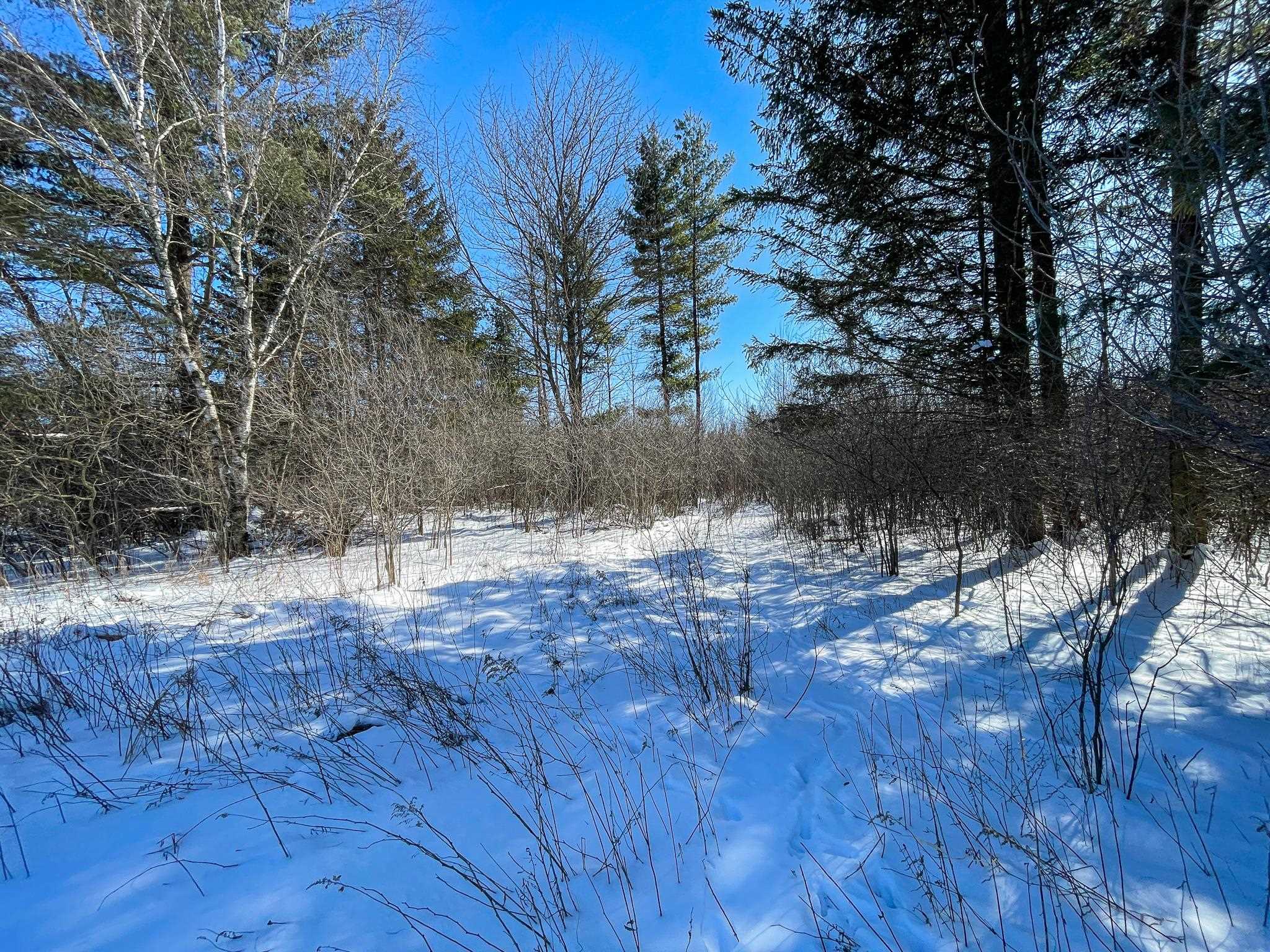 0 Granite Ridge Road Stevens Point, WI 54481 - Photo 17 of 51