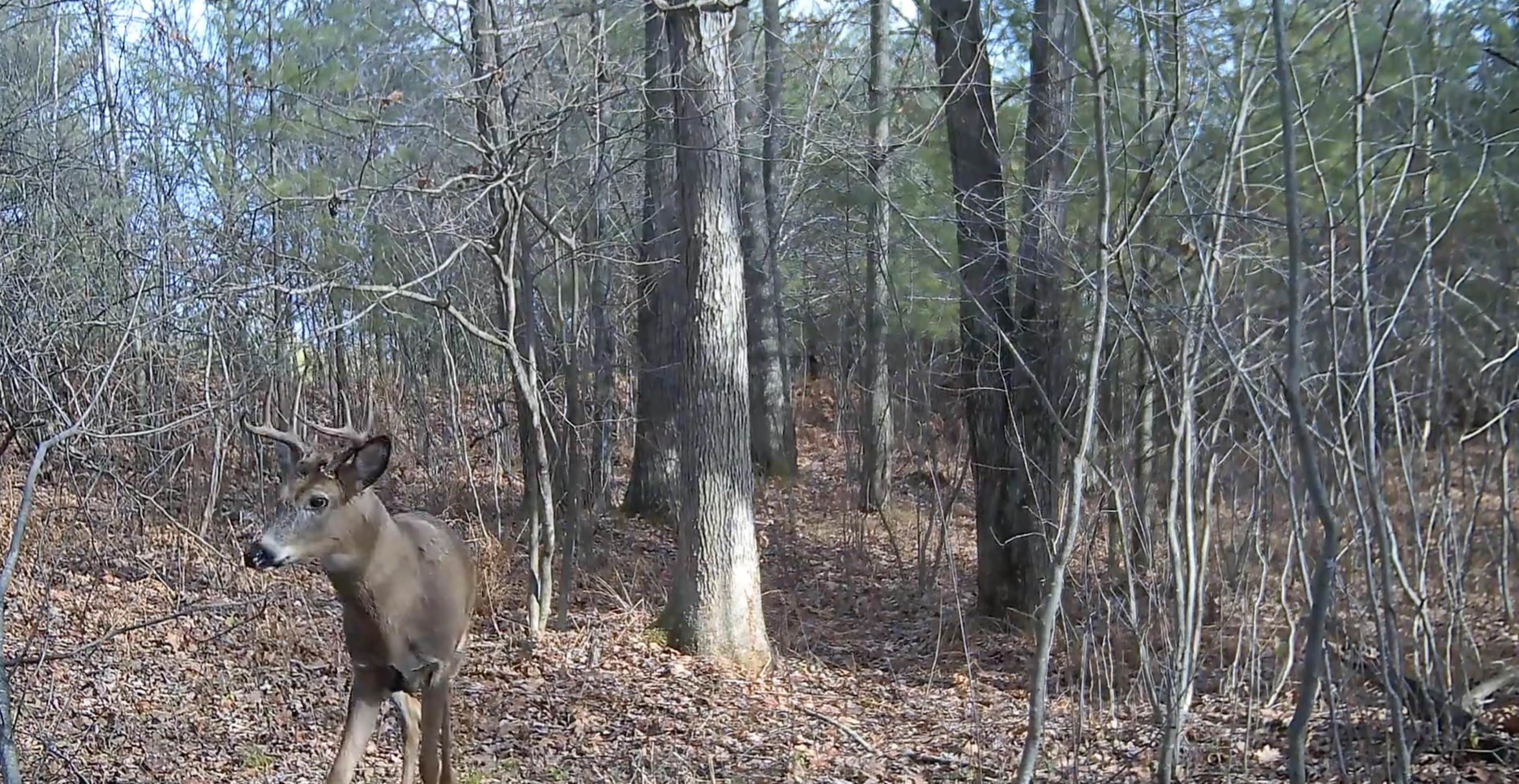 0 Granite Ridge Road Stevens Point, WI 54481 - Photo 3 of 51