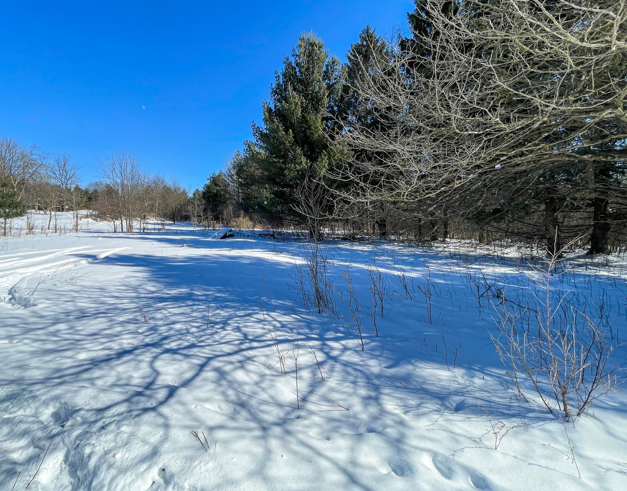 0 Granite Ridge Road Stevens Point, WI 54481 - Photo 4 of 51