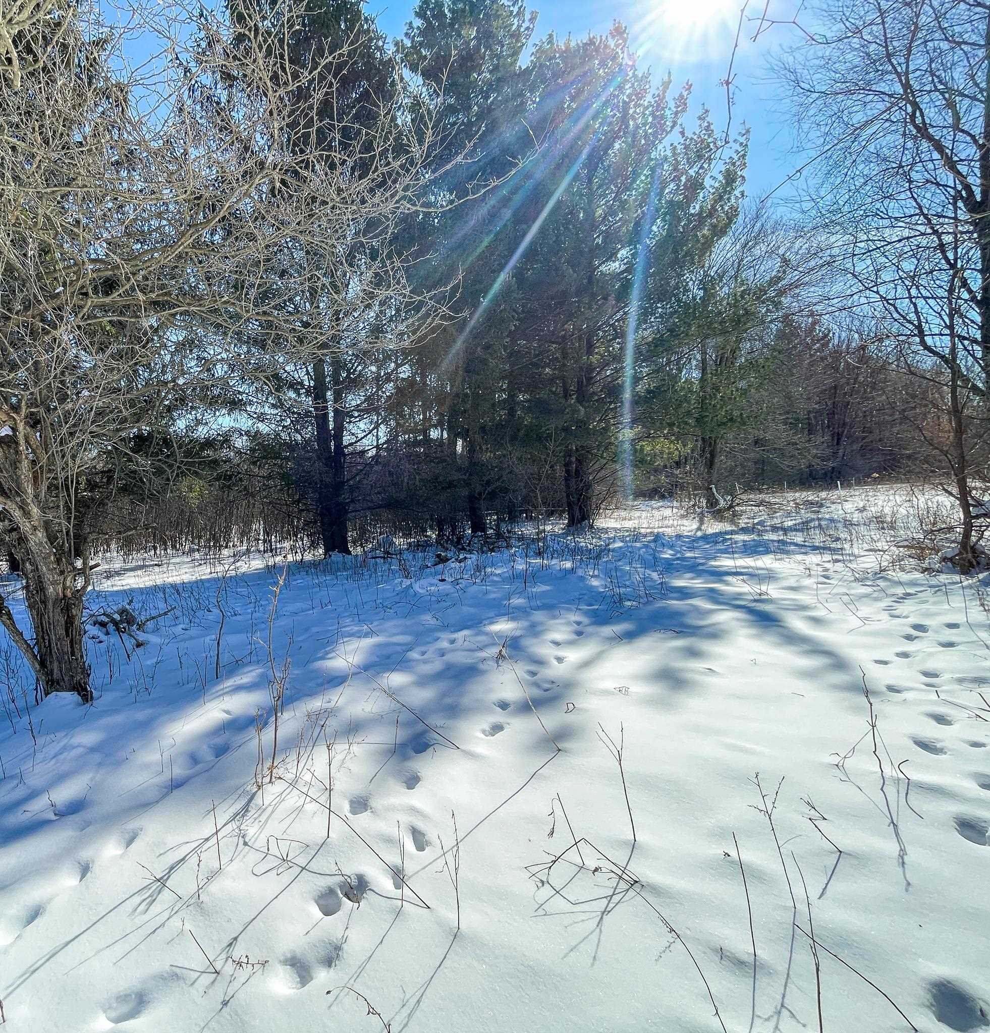 0 Granite Ridge Road Stevens Point, WI 54481 - Photo 5 of 51