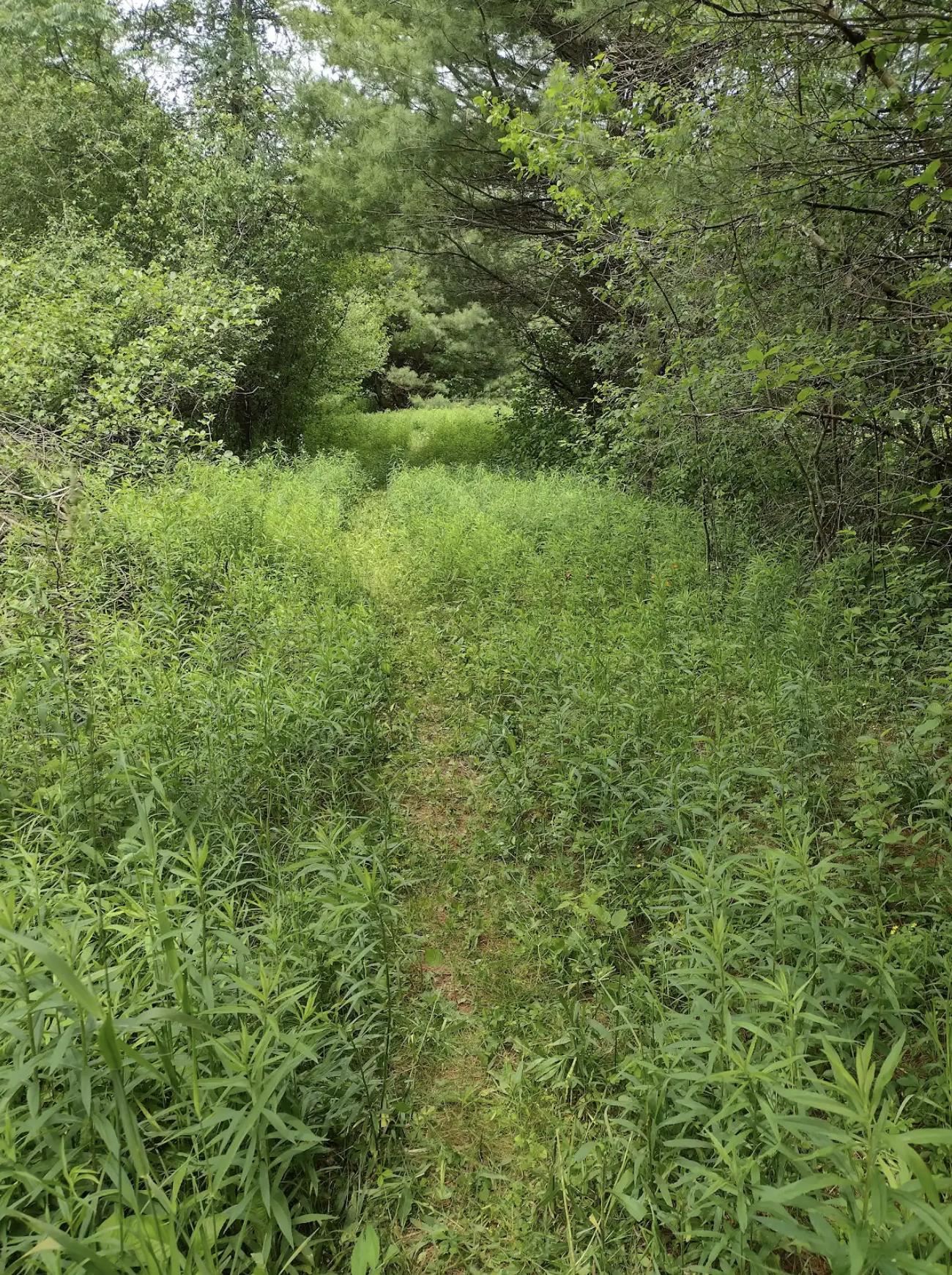 0 Granite Ridge Road Stevens Point, WI 54481 - Photo 8 of 51