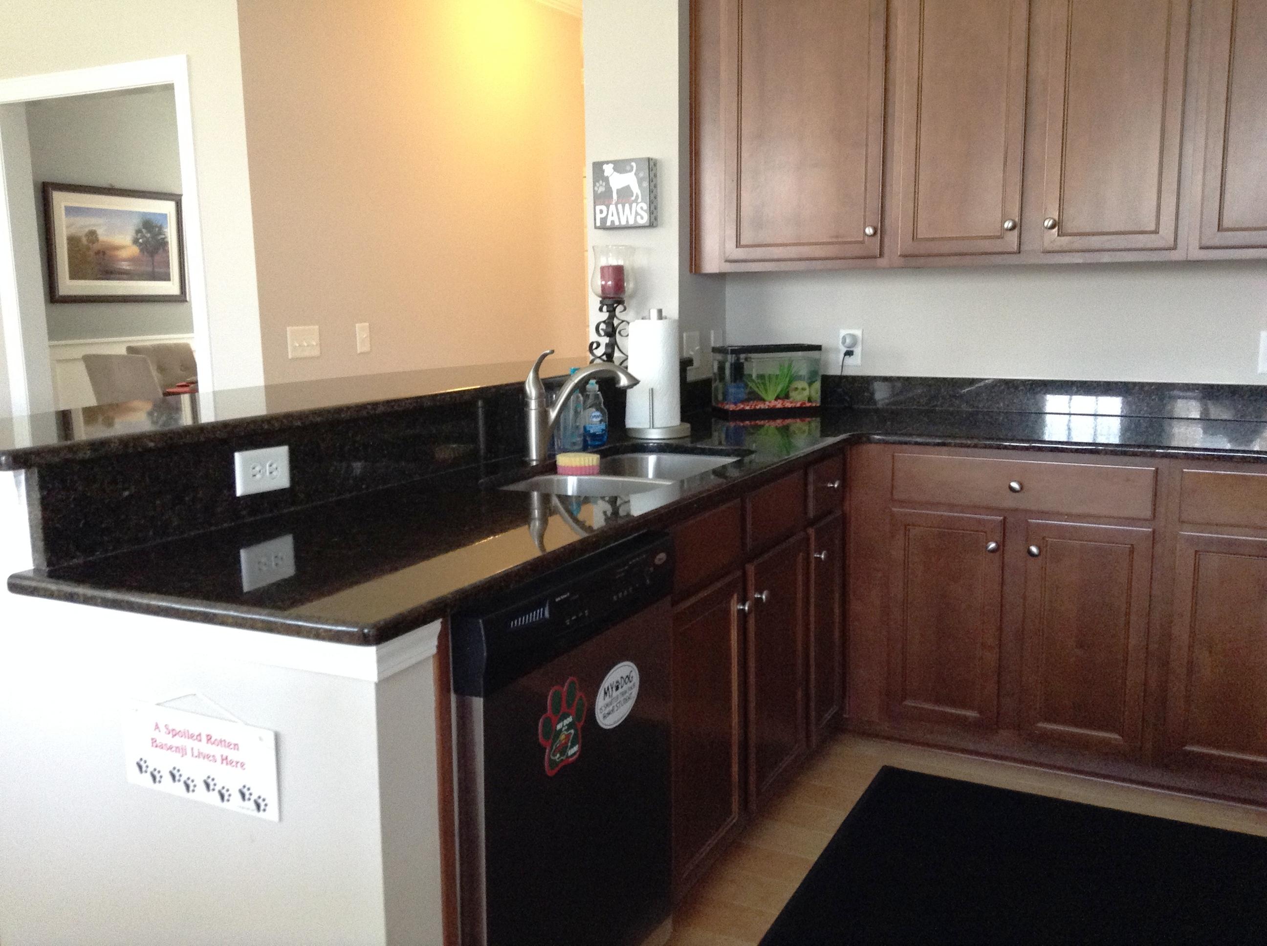 9657 Godwin Street Ladson, SC 29456 - Photo 11 of 29 Kitchen