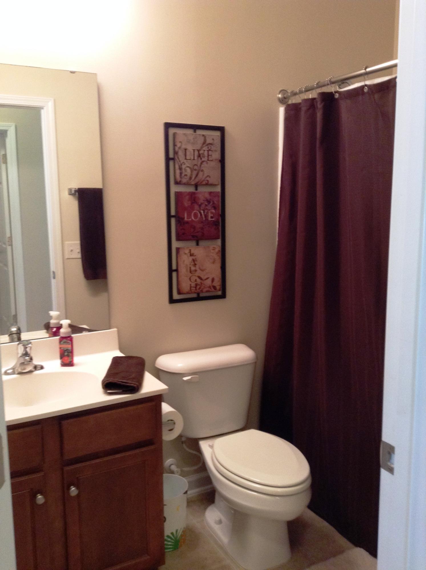 9657 Godwin Street Ladson, SC 29456 - Photo 17 of 29 Guess Bathroom