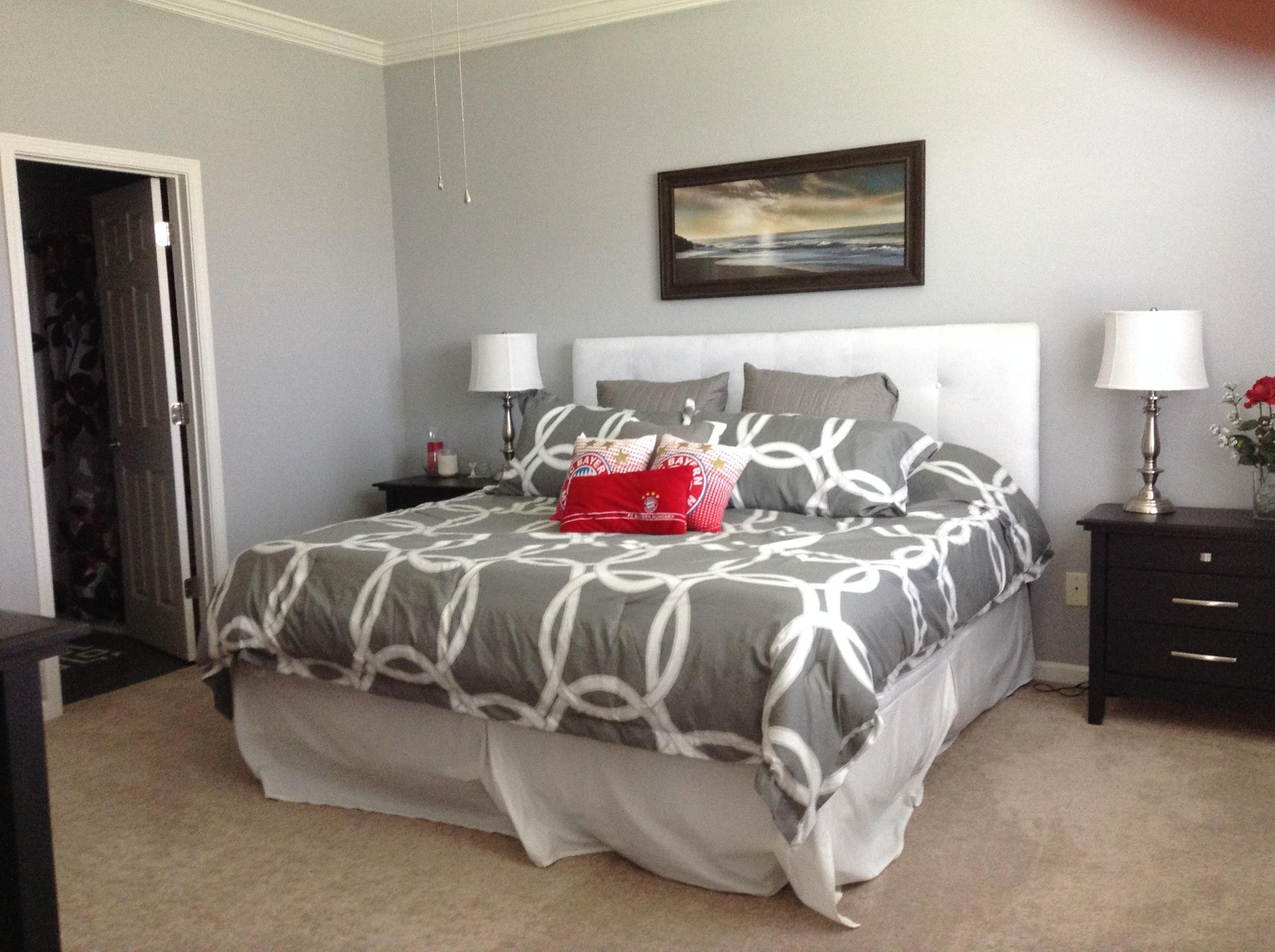 9657 Godwin Street Ladson, SC 29456 - Photo 20 of 29 Master Bedroom