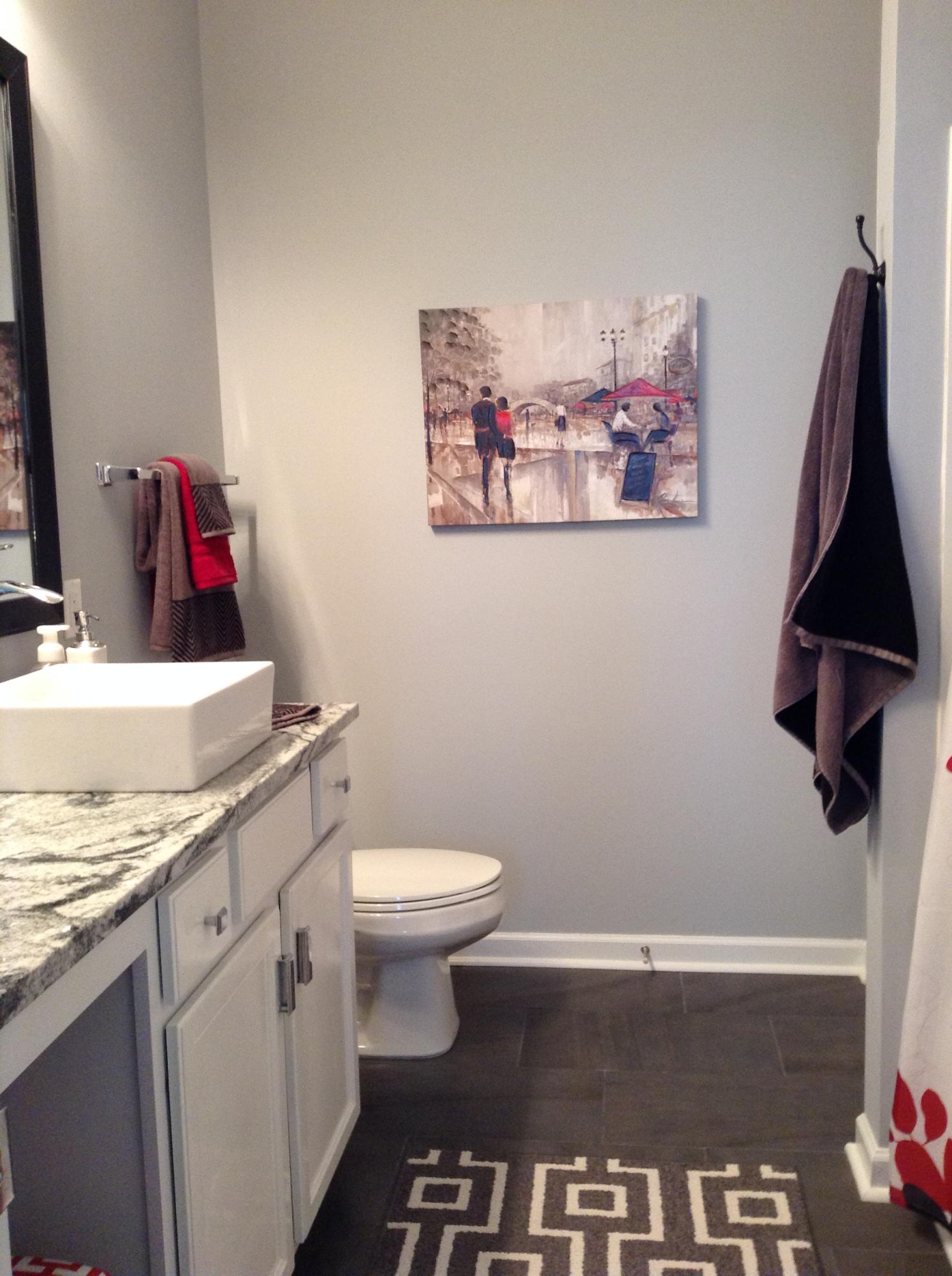 9657 Godwin Street Ladson, SC 29456 - Photo 23 of 29 Master Bathroom