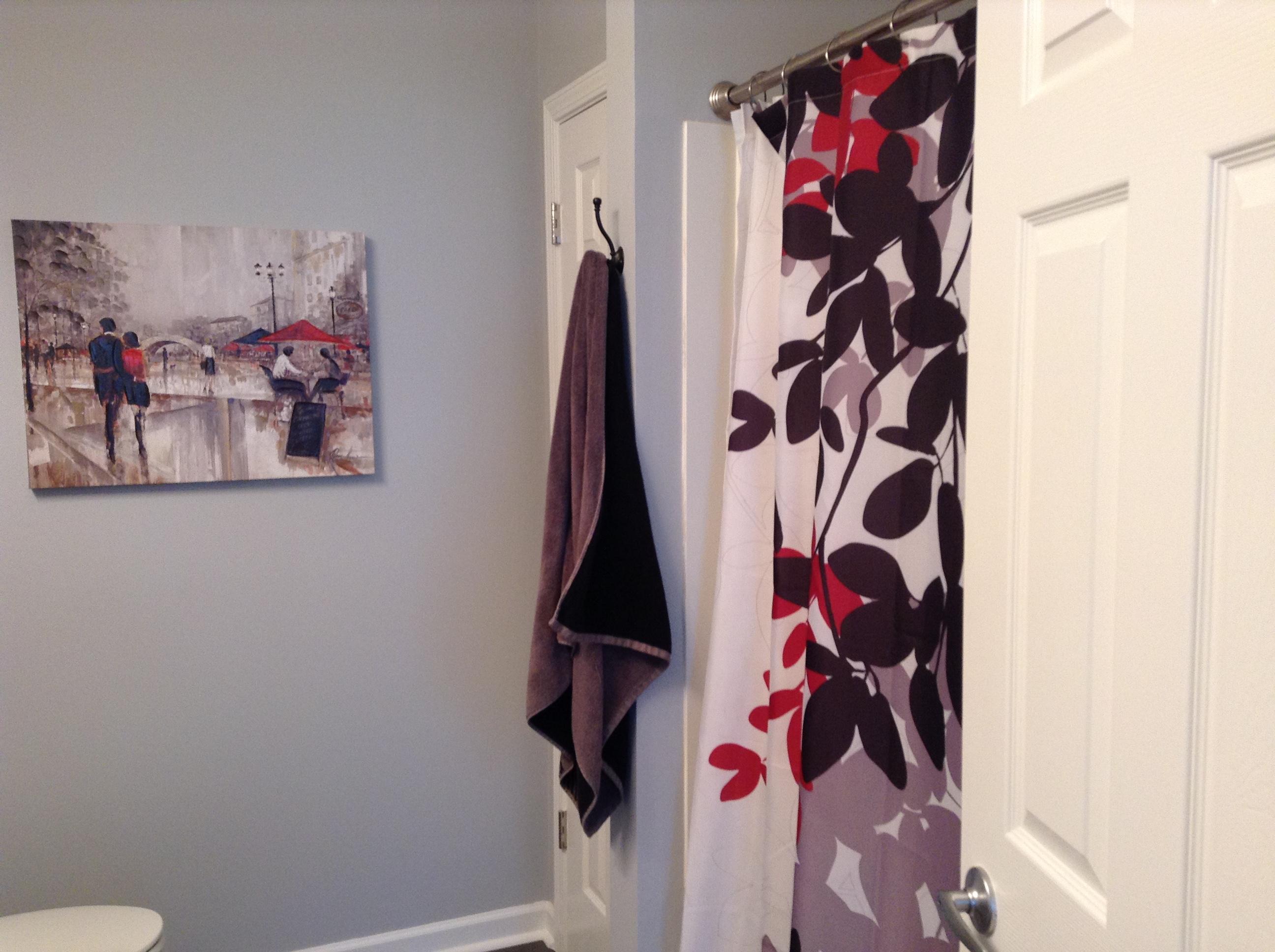 9657 Godwin Street Ladson, SC 29456 - Photo 25 of 29 Shower / Garden Tub