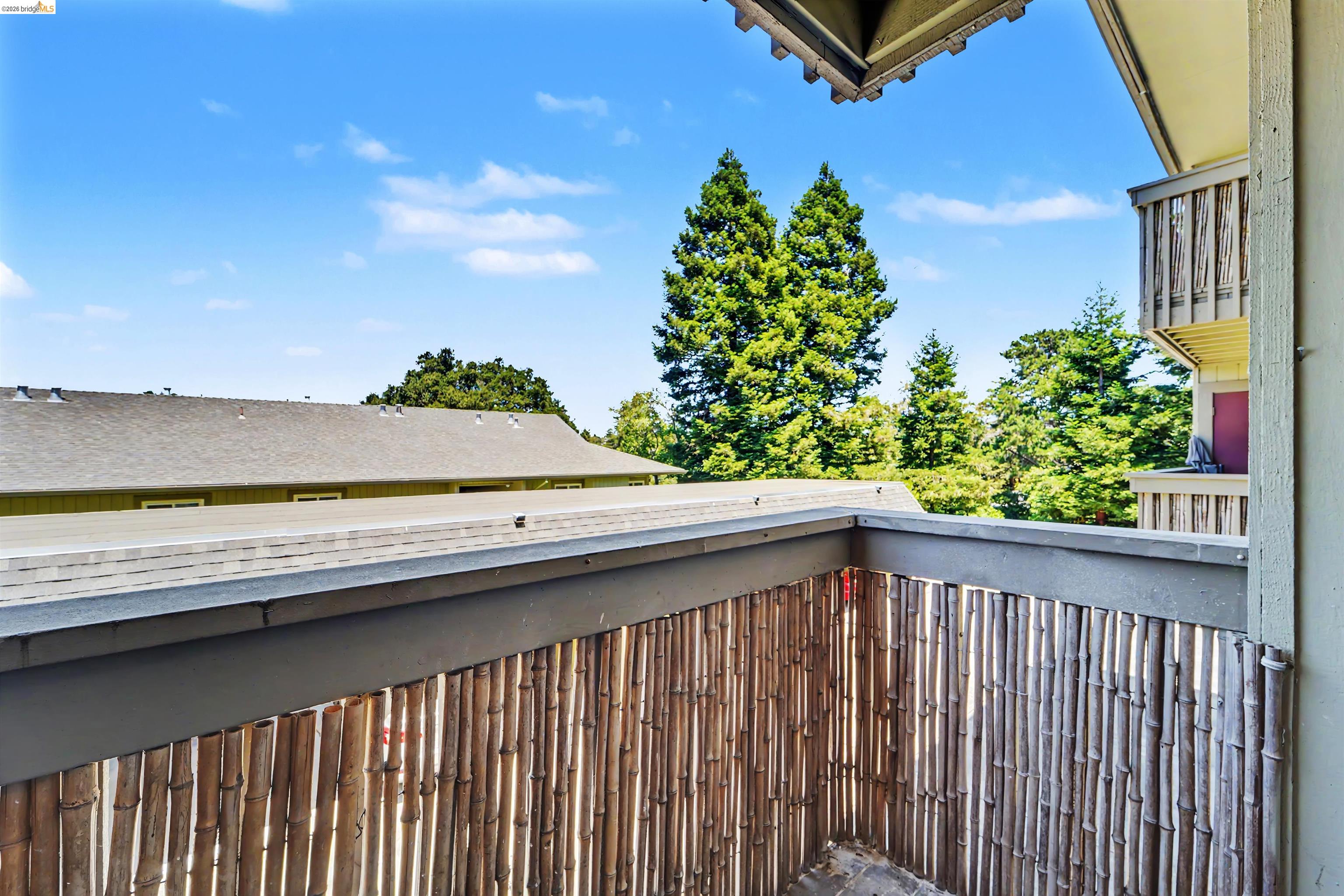 4186 San Pablo Dam Road, Unit A El Sobrante, CA 94803 - Photo 29 of 34 Private balcony featuring a bamboo screen railing and surrounding mature trees