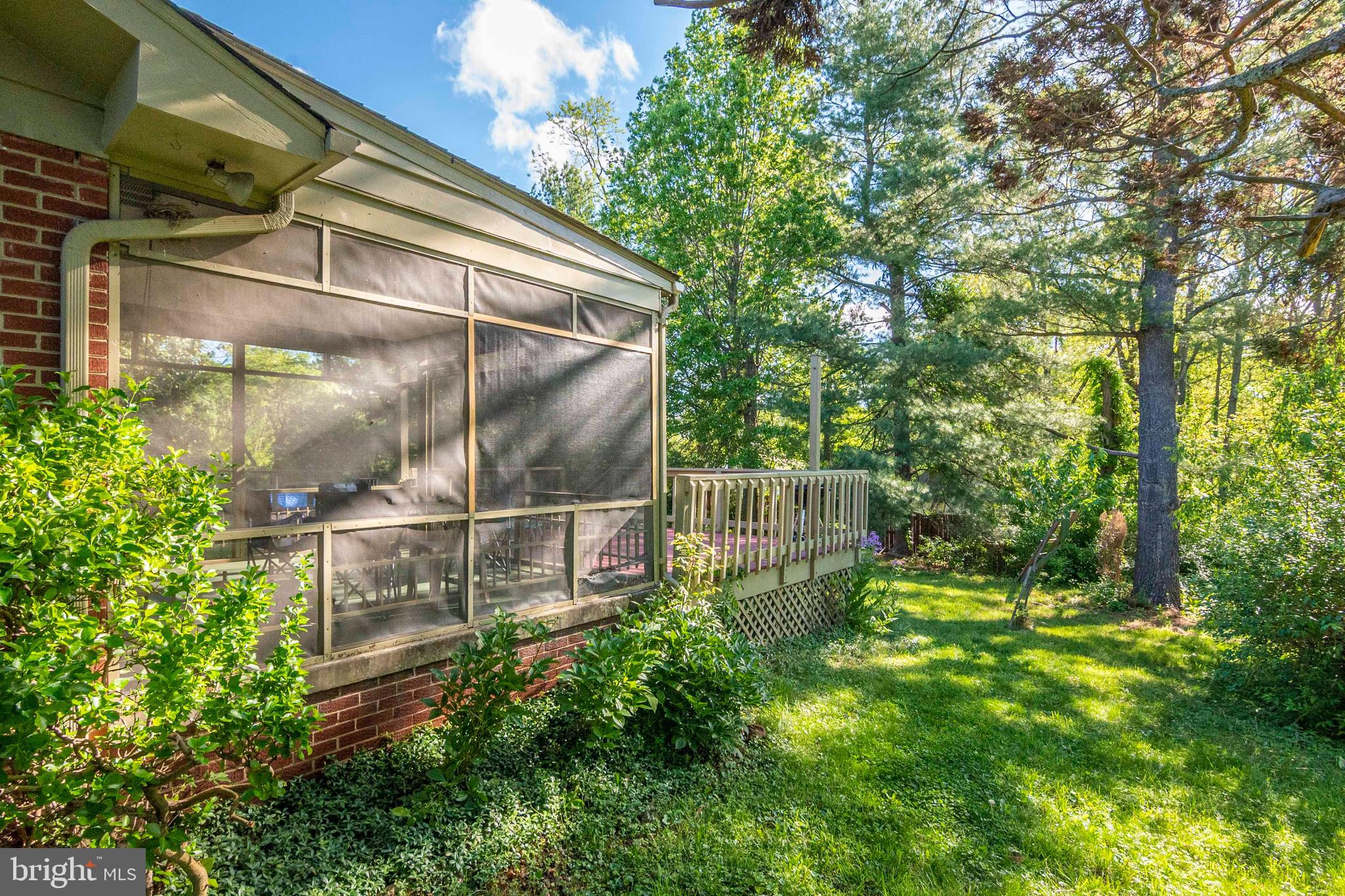 328 Jamestown Road Front Royal, VA 22630 - Photo 10 of 55 Back yard privacy abounds
