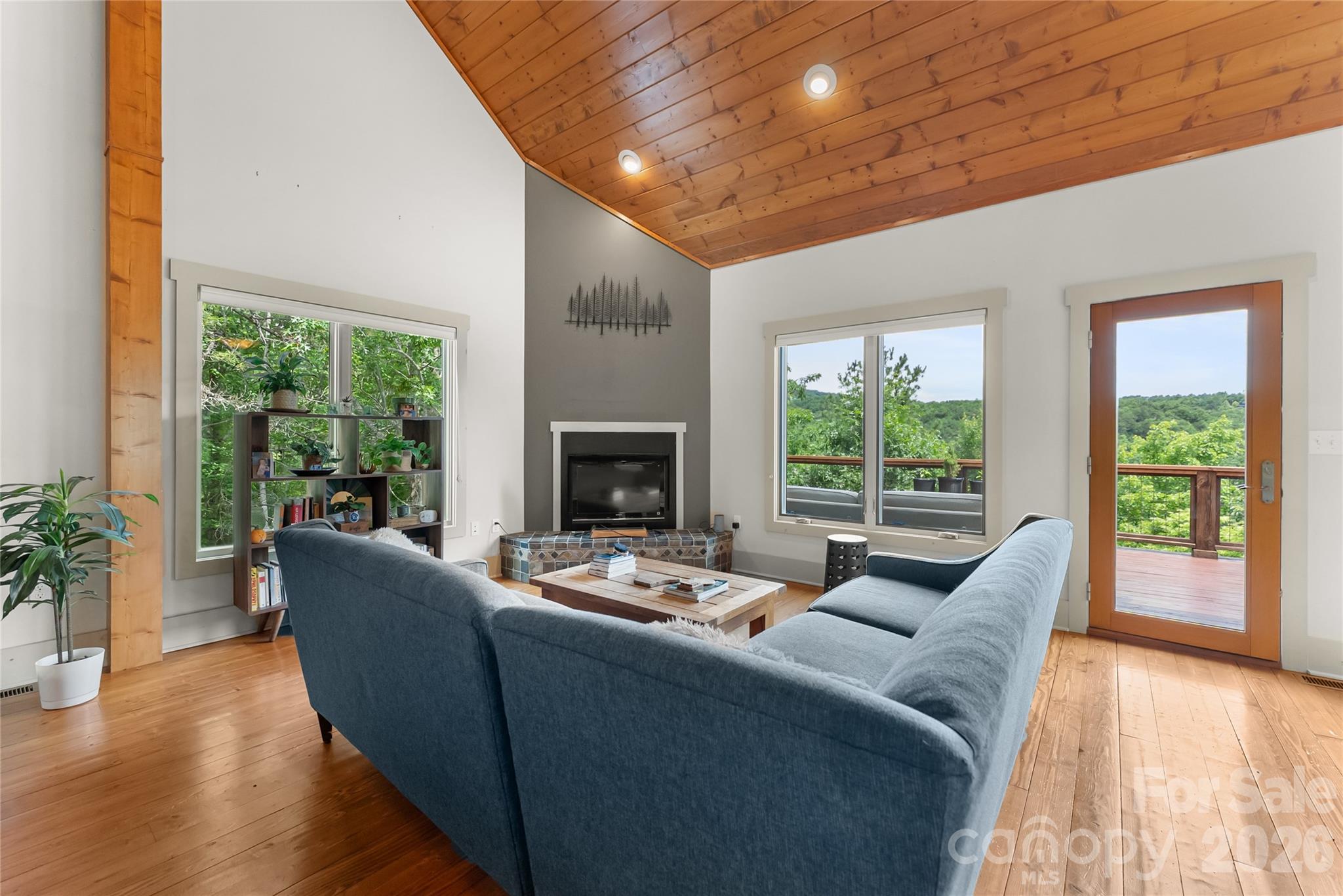 350 Winding Ridge Road Black Mountain, NC 28711 - Photo 37 of 48