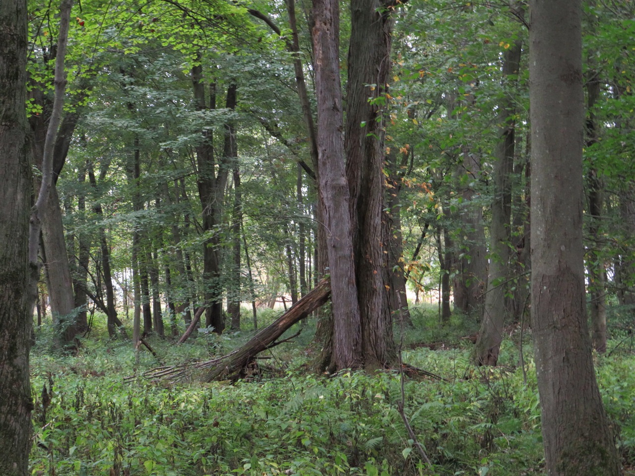 Vl Mcclure Road Eaton Rapids, MI 48827 - Photo 50 of 72