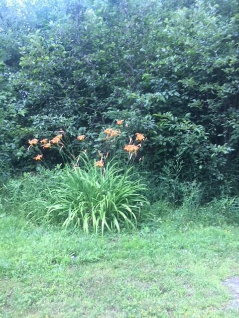8 Hooke Road Winn, ME 04495 - Photo 5 of 17 Photo