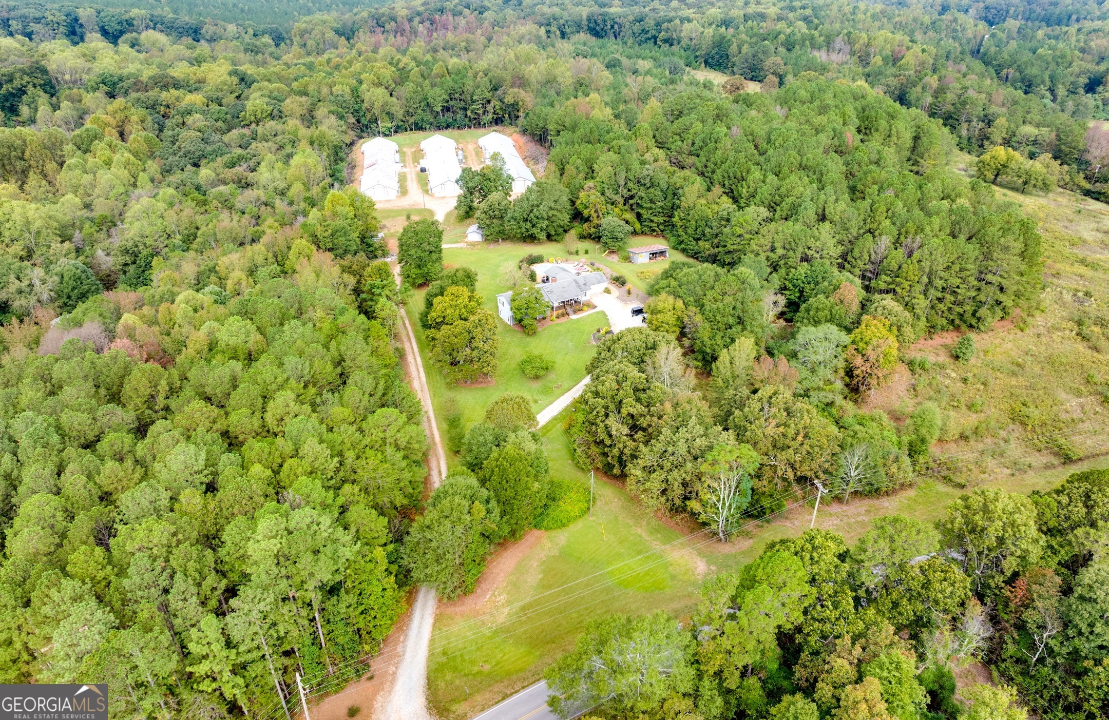 119 Yarbrough Ridgeway Road Commerce, GA 30529 - Photo 49 of 50 a close up of a plant