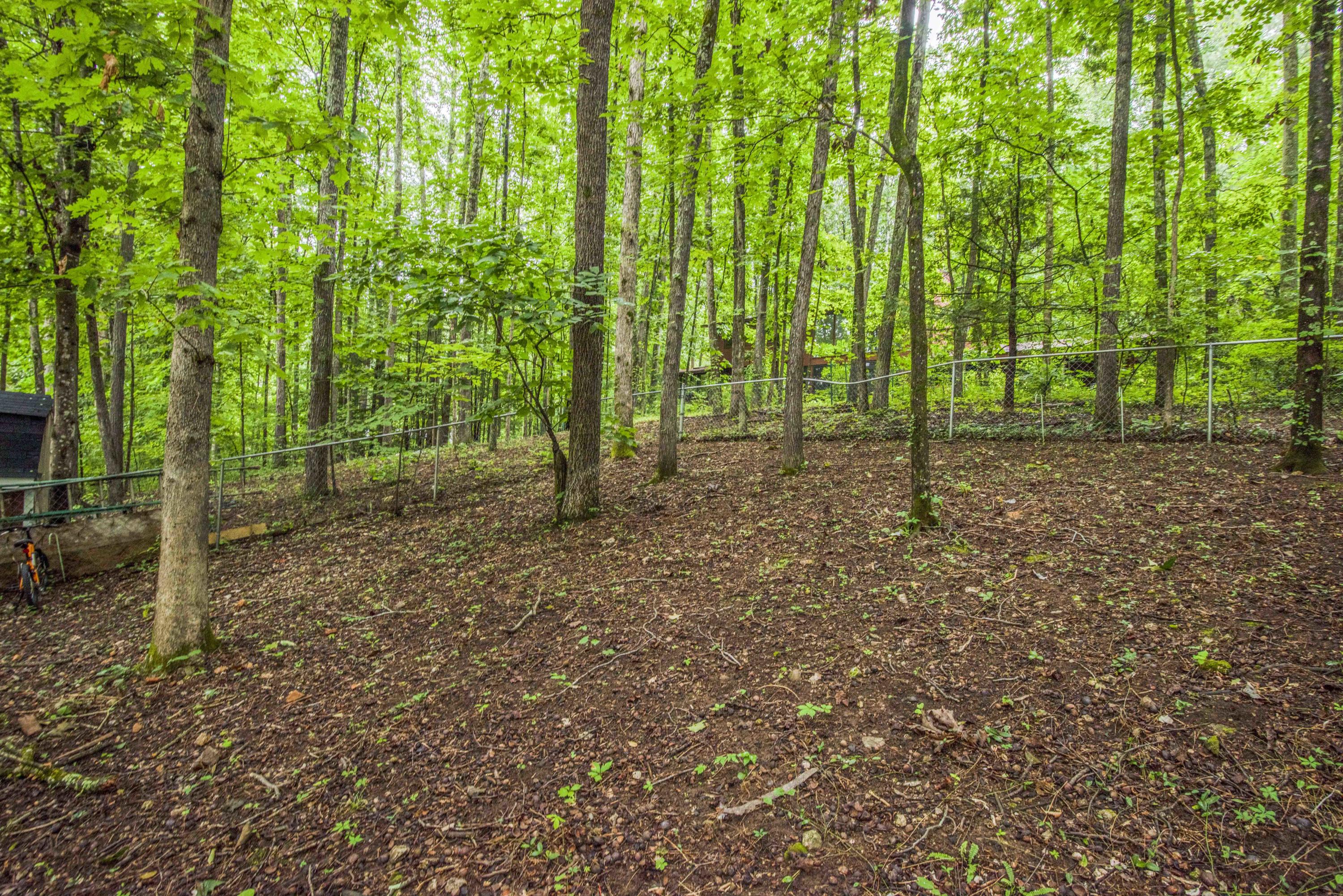 109 Timbercrest Drive Oak Ridge, TN 37830 - Photo 4 of 40 Yard