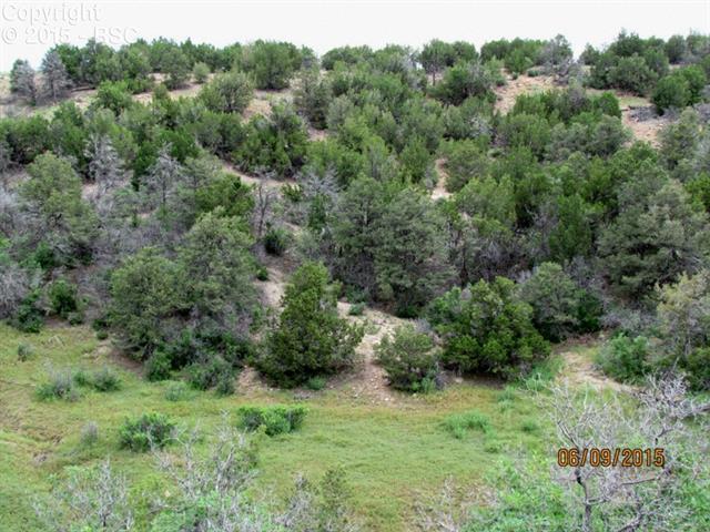 4 Newlin Ridge Road Florence, CO 81226 - Photo 9 of 28 Gallery Image 9
