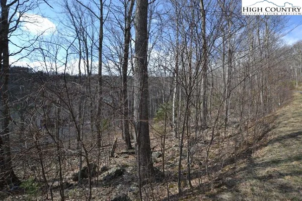 $12,900 | Lot 116 Lauren Lane, West Jefferson, NC 28694