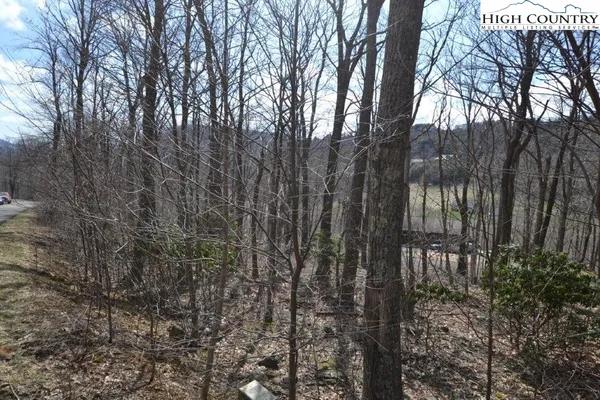 $12,900 | Lot 116 Lauren Lane, West Jefferson, NC 28694