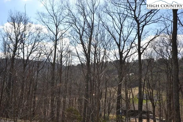$12,900 | Lot 116 Lauren Lane, West Jefferson, NC 28694