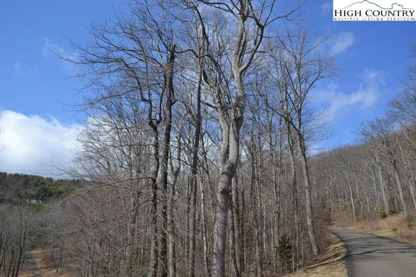 $12,900 | Lot 116 Lauren Lane, West Jefferson, NC 28694