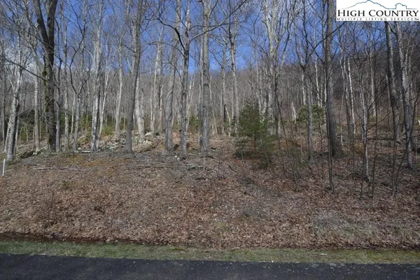 $12,900 | Lot 116 Lauren Lane, West Jefferson, NC 28694