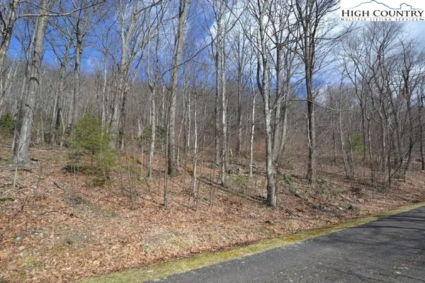 $12,900 | Lot 116 Lauren Lane, West Jefferson, NC 28694