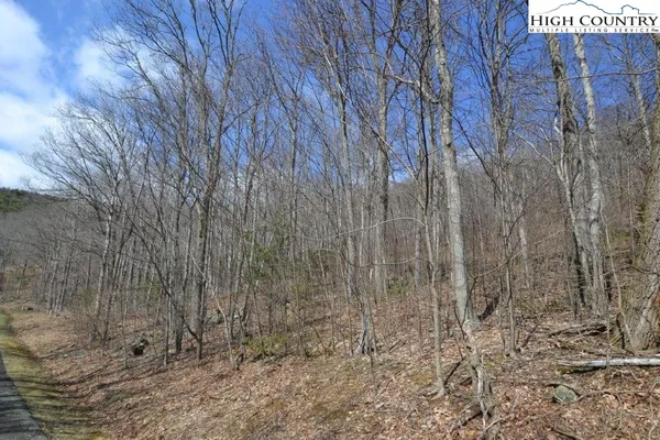 $12,900 | Lot 116 Lauren Lane, West Jefferson, NC 28694