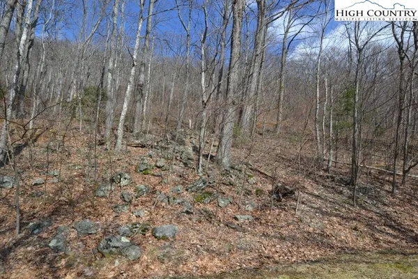 $12,900 | Lot 116 Lauren Lane, West Jefferson, NC 28694